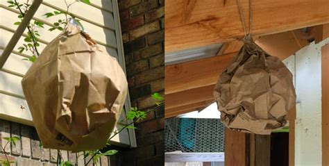 fake brown paper bag|paper bags and wasps.